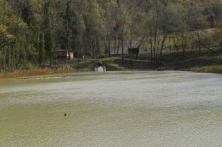 immagini a rotazione