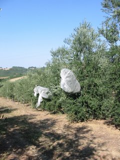 Ricerca e sviluppo